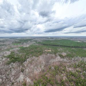 Photo #16 of Darlington Heights, Cullen, VA 92.5 acres