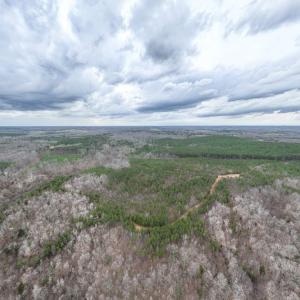 Photo #17 of Darlington Heights, Cullen, VA 92.5 acres