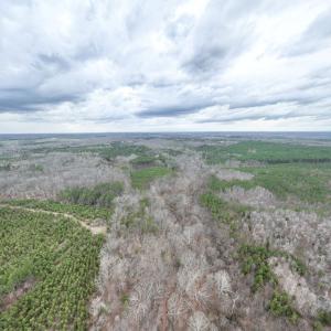 Photo #18 of Darlington Heights, Cullen, VA 92.5 acres