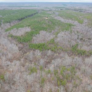 Photo #19 of Darlington Heights, Cullen, VA 92.5 acres