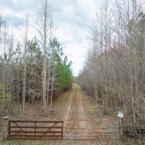 Photo #2 of Darlington Heights, Cullen, VA 92.5 acres