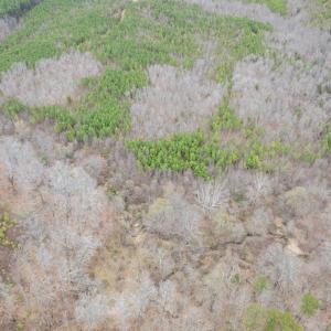 Photo #20 of Darlington Heights, Cullen, VA 92.5 acres