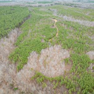 Photo #21 of Darlington Heights, Cullen, VA 92.5 acres