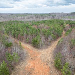 Photo #22 of Darlington Heights, Cullen, VA 92.5 acres