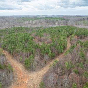 Photo #23 of Darlington Heights, Cullen, VA 92.5 acres