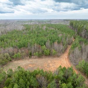 Photo #25 of Darlington Heights, Cullen, VA 92.5 acres