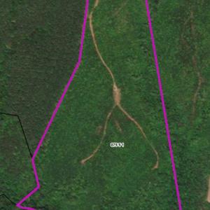 Photo #26 of Darlington Heights, Cullen, VA 92.5 acres