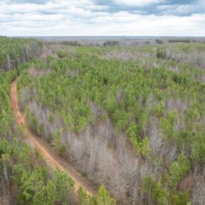 Photo #4 of Darlington Heights, Cullen, VA 92.5 acres