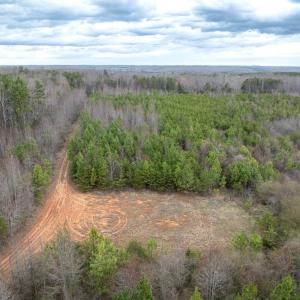 Photo #5 of Darlington Heights, Cullen, VA 92.5 acres