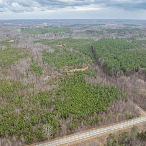 Photo #7 of Darlington Heights, Cullen, VA 92.5 acres