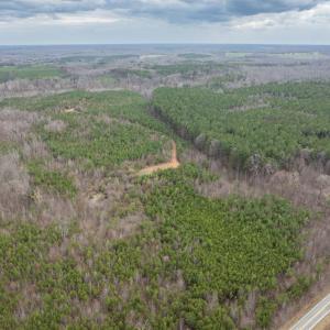 Photo #8 of Darlington Heights, Cullen, VA 92.5 acres