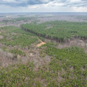 Photo #9 of Darlington Heights, Cullen, VA 92.5 acres