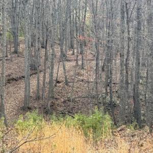 Photo #11 of Lime Plant Road, Appomattox, VA 16.7 acres
