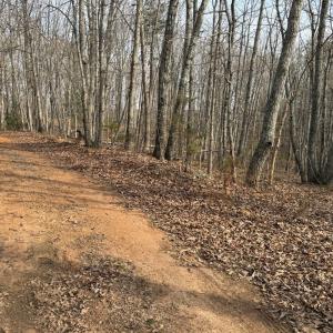 Photo #4 of Lime Plant Road, Appomattox, VA 16.7 acres