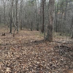 Photo #5 of Lime Plant Road, Appomattox, VA 16.7 acres