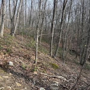Photo #6 of Lime Plant Road, Appomattox, VA 16.7 acres