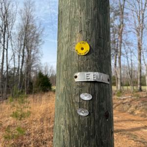 Photo #7 of Lime Plant Road, Appomattox, VA 16.7 acres