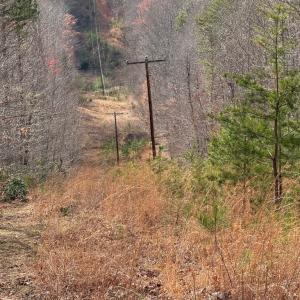 Photo #8 of Lime Plant Road, Appomattox, VA 16.7 acres