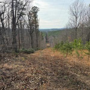 Photo #9 of Lime Plant Road, Appomattox, VA 16.7 acres