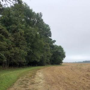 Photo #2 of FOX GROVE RD, PARKSLEY, VA 21.4 acres