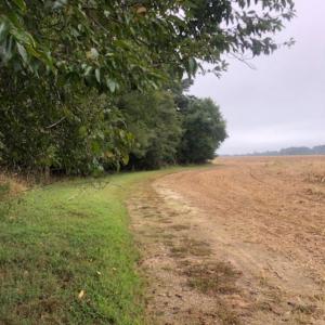 Photo #6 of FOX GROVE RD, PARKSLEY, VA 21.4 acres