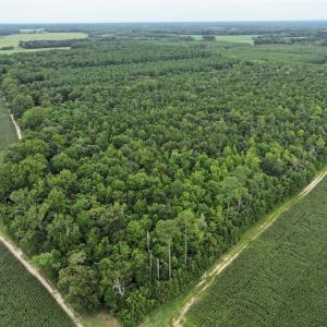 Photo #7 of FOX GROVE RD, PARKSLEY, VA 21.4 acres