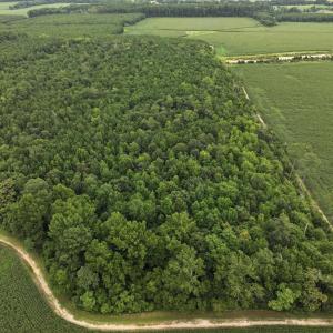 Photo #8 of FOX GROVE RD, PARKSLEY, VA 21.4 acres