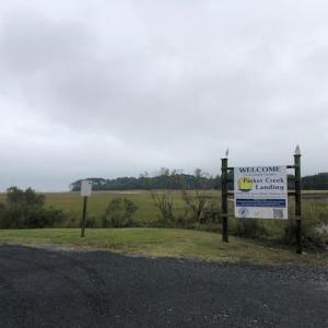 Photo #4 of FOX GROVE RD, PARKSLEY, VA 21.4 acres