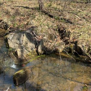 Photo #13 of Sanders Creek Rd, Dillwyn, VA 26.8 acres