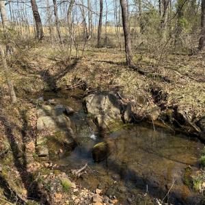 Photo #14 of Sanders Creek Rd, Dillwyn, VA 26.8 acres