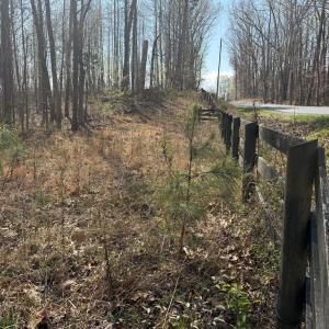 Photo #5 of Sanders Creek Rd, Dillwyn, VA 26.8 acres