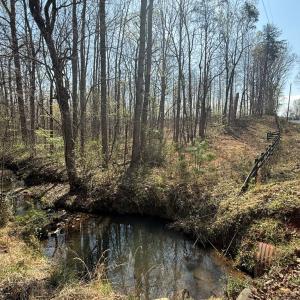 Photo #7 of Sanders Creek Rd, Dillwyn, VA 26.8 acres