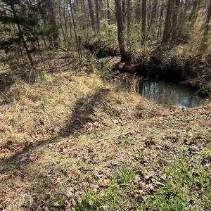 Photo #9 of Sanders Creek Rd, Dillwyn, VA 26.8 acres