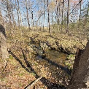 Photo #12 of Sanders Creek Rd, Dillwyn, VA 26.8 acres