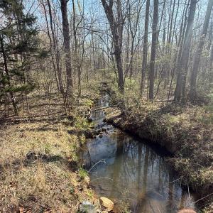 Photo #8 of Sanders Creek Rd, Dillwyn, VA 26.8 acres