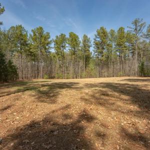 Photo #2 of Lakeside Rd, Prince Edward, VA 9.3 acres
