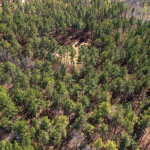 Photo #8 of Lakeside Rd, Prince Edward, VA 9.3 acres