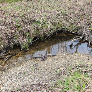 Photo #13 of 56 S James River Rd, Buckingham, VA 83.9 acres