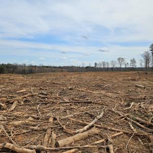 Photo #4 of 56 S James River Rd, Buckingham, VA 83.9 acres