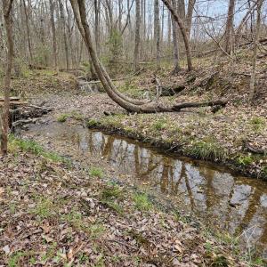 Photo #9 of 56 S James River Rd, Buckingham, VA 83.9 acres