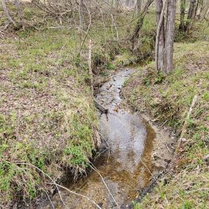 Photo #12 of 56 S James River Rd, Buckingham, VA 83.9 acres