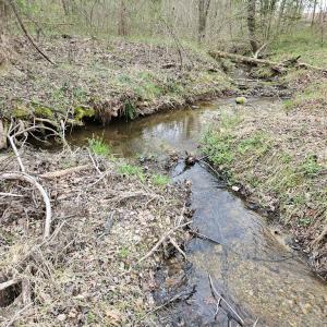 Photo #13 of 56 S James River Rd, Buckingham, VA 83.9 acres