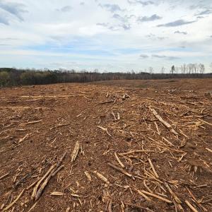 Photo #16 of 56 S James River Rd, Buckingham, VA 83.9 acres