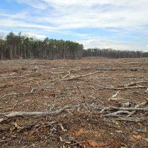 Photo #18 of 56 S James River Rd, Buckingham, VA 83.9 acres