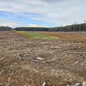 Photo #2 of 56 S James River Rd, Buckingham, VA 83.9 acres