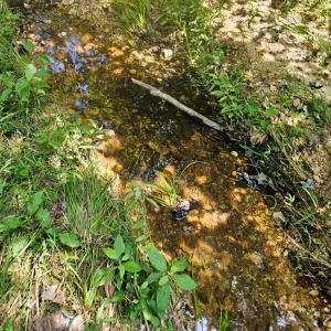Photo #20 of 60 West James Anderson Hwy, Gladstone, VA 100.0 acres