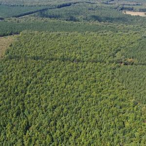 Photo #38 of 60 West James Anderson Hwy, Gladstone, VA 100.0 acres