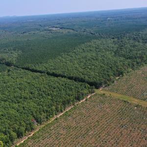 Photo #42 of 60 West James Anderson Hwy, Gladstone, VA 100.0 acres