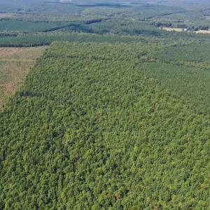 Photo #43 of 60 West James Anderson Hwy, Gladstone, VA 100.0 acres