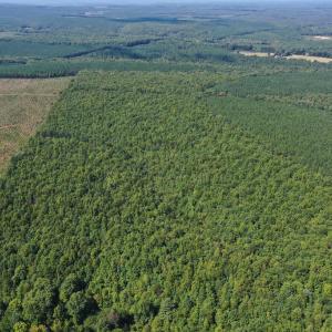 Photo #46 of 60 West James Anderson Hwy, Gladstone, VA 100.0 acres